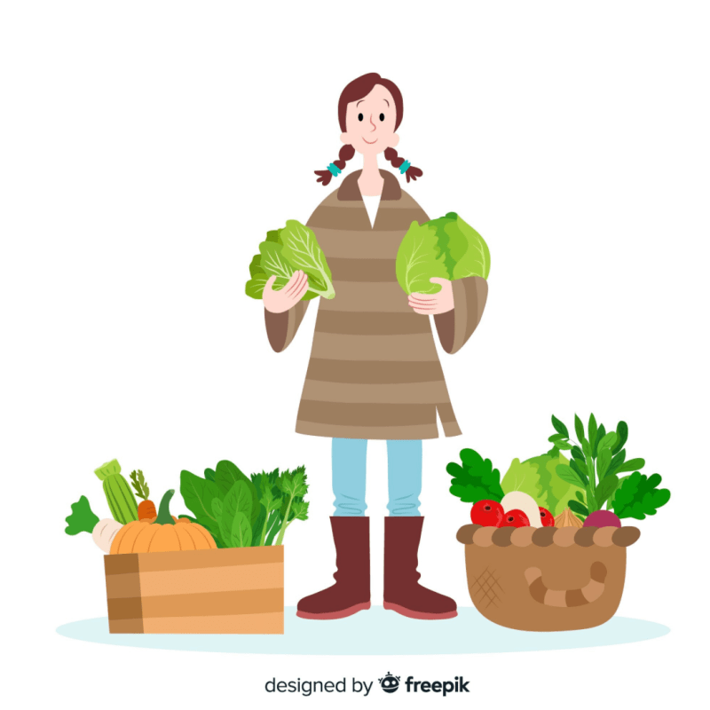 Estrategias prácticas para incorporar verduras en la alimentación&nbsp;cotidiana