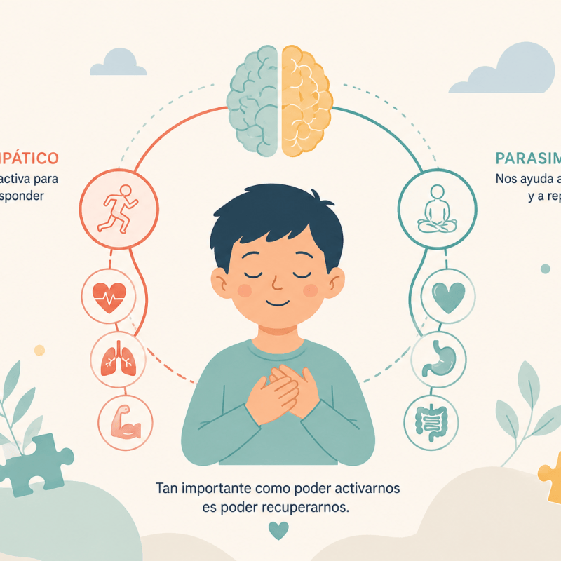 ¿Qué significa realmente regular el sistema&nbsp;nervioso?